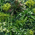 Mur vegetal artificiel brise vue Luxury