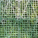Mur vegetal artificiel brise vue Luxury