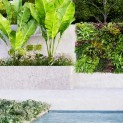 Mur vegetal artificiel brise vue Wood Colors