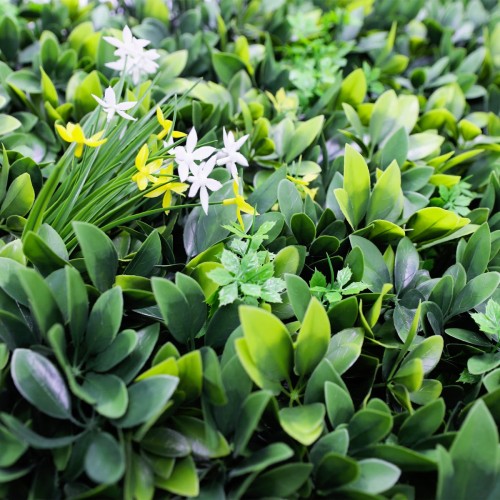 Mur vegetal artificiel brise vue Green