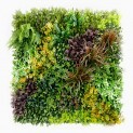 Mur vegetal artificiel brise vue Life