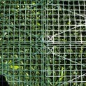 Mur vegetal artificiel brise vue Life