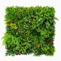 Mur vegetal artificiel brise vue Super Jungle