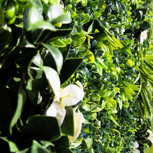 Mur vegetal artificiel liseron MGS