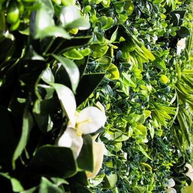 Mur vegetal artificiel liseron MGS