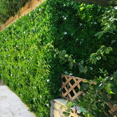 Mur vegetal artificiel liseron MGS