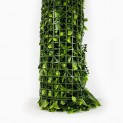 Mur vegetal artificiel liseron MGS