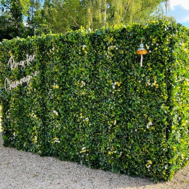 Mur vegetal artificiel brise vue Green