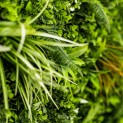 Mur vegetal artificiel brise vue Savane