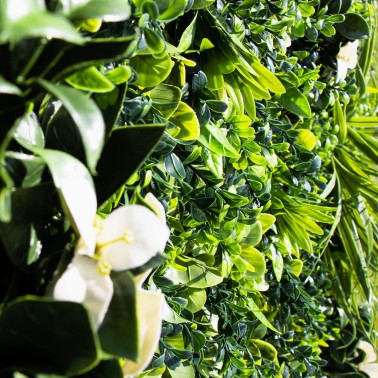 Mur vegetal artificiel liseron MGS