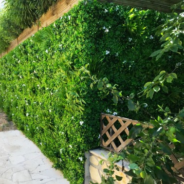 Mur vegetal artificiel liseron MGS