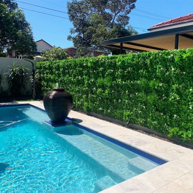 Mur vegetal artificiel liseron MGS