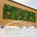 Mur vegetal artificiel brise vue Jungle