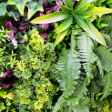 Mur vegetal artificiel brise vue Super Jungle