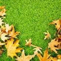 Souffleur Garland pour jardin