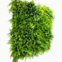 Mur vegetal artificiel brise vue Fougère dense