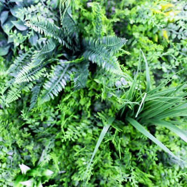 Mur vegetal artificiel brise vue Fougère dense