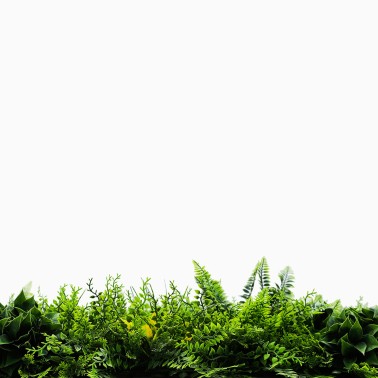 Mur vegetal artificiel brise vue Fougère dense