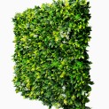 Mur vegetal artificiel brise vue Green