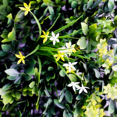 Mur vegetal artificiel brise vue Green