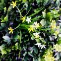 Mur vegetal artificiel brise vue Green