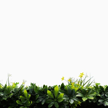 Mur vegetal artificiel brise vue Green