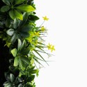 Mur vegetal artificiel brise vue Green