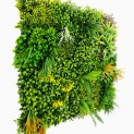 Mur vegetal artificiel brise vue Jungle