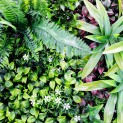 Mur vegetal artificiel brise vue Jungle