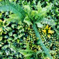 Mur vegetal artificiel brise vue Jungle