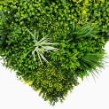 Mur vegetal artificiel brise vue Jungle