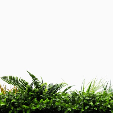 Mur vegetal artificiel brise vue Jungle