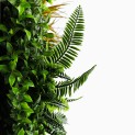 Mur vegetal artificiel brise vue Jungle