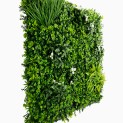 Mur vegetal artificiel liseron MGS