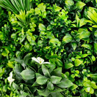 Mur vegetal artificiel liseron MGS