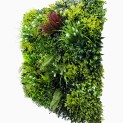 Mur vegetal artificiel brise vue Luxury