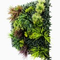 Mur vegetal artificiel brise vue Tropic