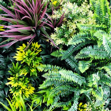 Mur vegetal artificiel brise vue Tropic