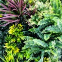 Mur vegetal artificiel brise vue Tropic