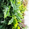 Mur vegetal artificiel brise vue Tropic