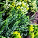 Mur vegetal artificiel brise vue Tropic