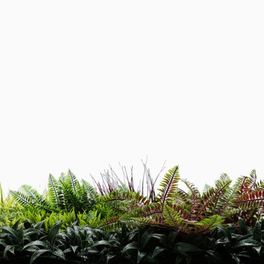 Mur vegetal artificiel brise vue Tropic