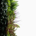 Mur vegetal artificiel brise vue Tropic