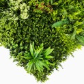 Mur vegetal artificiel brise vue Prairie color