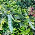 Mur vegetal artificiel brise vue Prairie color