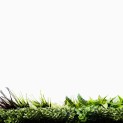 Mur vegetal artificiel brise vue Prairie color