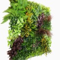 Mur vegetal artificiel brise vue Life