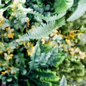 Mur vegetal artificiel brise vue Life