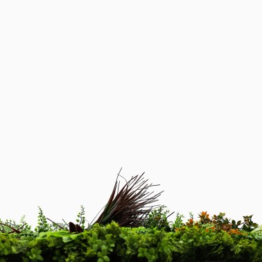 Mur vegetal artificiel brise vue Life