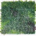 Mur vegetal artificiel brise vue Life